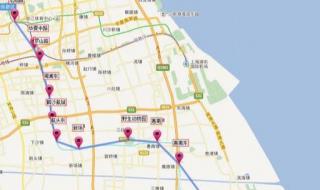 上海16号线线路图