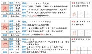 想起想起想起造句三年级上册