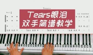 tears眼泪钢琴谱